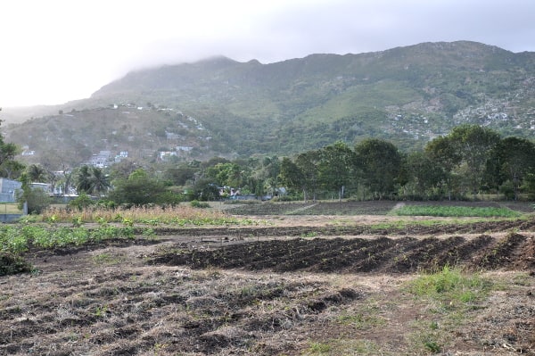 The sprawling fields of the agricultural school