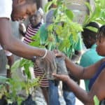 Un projet de développement organisé par la Fondation Rinaldi qui distribue des semences et des outils aux agriculteurs du sud d'Haïti