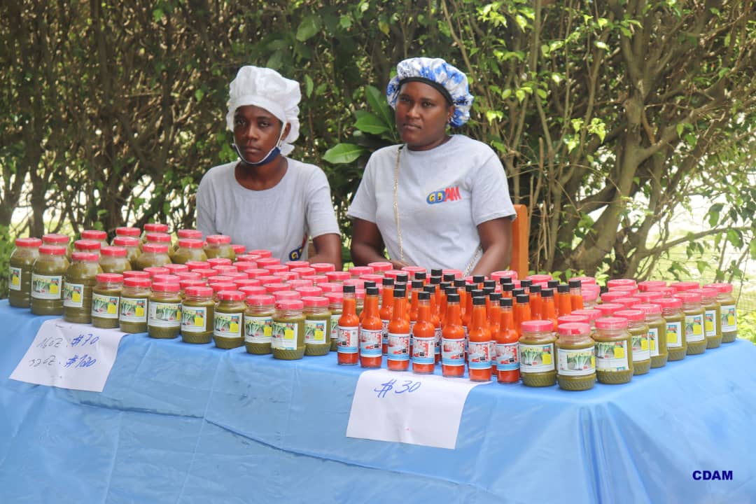 TRANSFORMATION DE PRODUITS LOCAUX PAR LES JEUNES DE CDAM